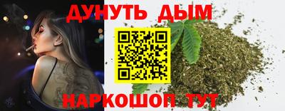 сатива Севастополь
