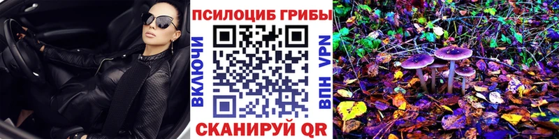 продажа наркотиков  Шарыпово  маркетплейс телеграм  Псилоцибиновые грибы Psilocybe 