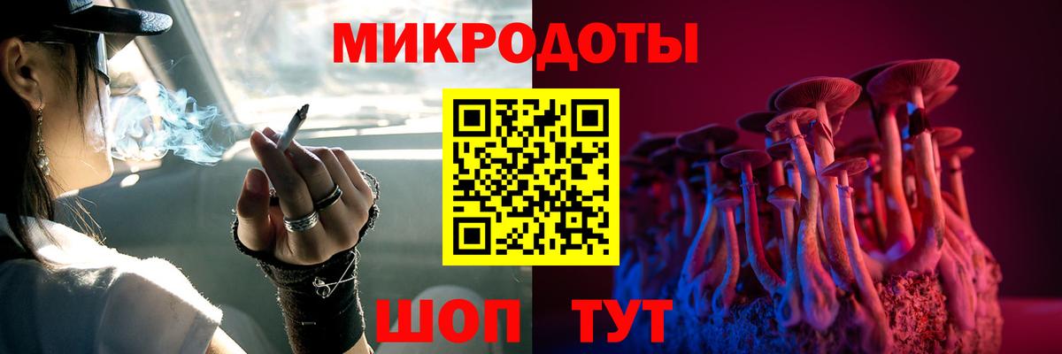 Псилоцибиновые грибы Psilocybe  Вход с VPN  Шарыпово  Псилоцибиновые грибы Psilocybine cubensis 